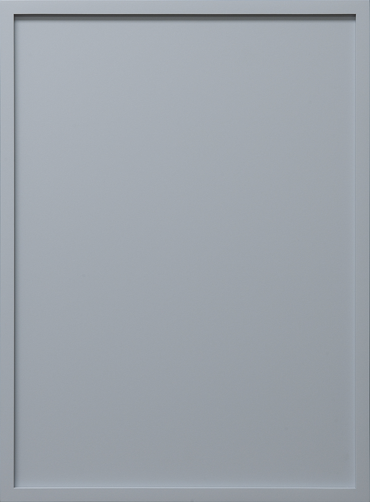Closed light-gray cabinet door with a rectangular recessed panel and frame.